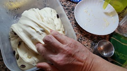 5briochesemola impasto2