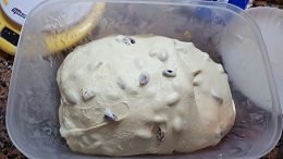 7briochesemola impasto4