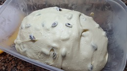 8briochesemola impasto5