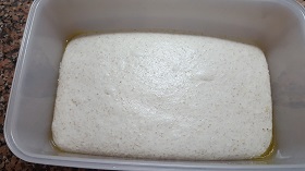 pizzamondrian17