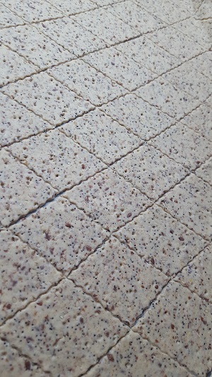crackers e biscotti salati2