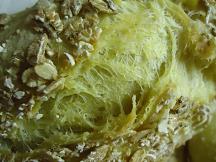 ciabattine6