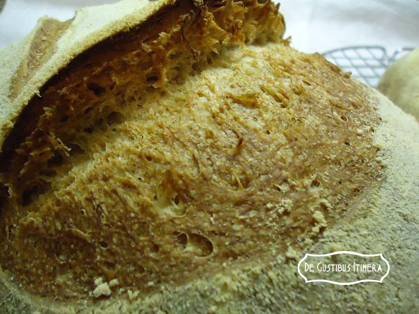 segale 2 0 centrale1