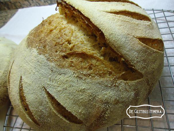 segale 2 0 centrale2