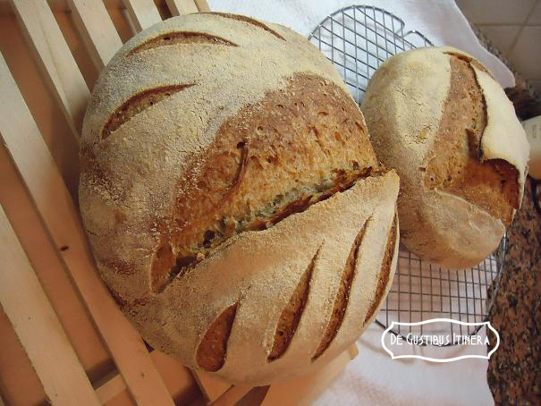 PANE SEMINTEGRALE CON SEGALE E FRUMENTO - WHOLEMEAL BREAD WITH RYE AND WHEAT