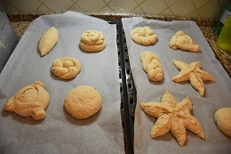 panececi5
