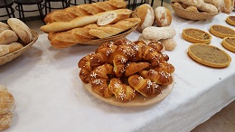 giorilli1